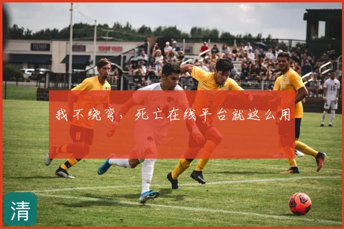 我不绕弯，死亡在线平台就这么用